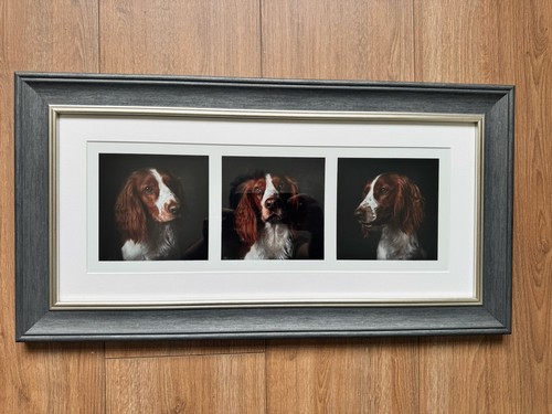 Springer spaniel printed - spaniel,