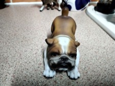  Bulldog porcelain Figurine
