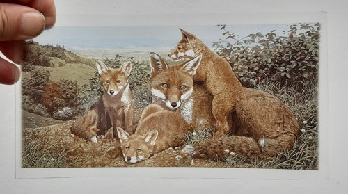 Stained glass foxes - glass, piece