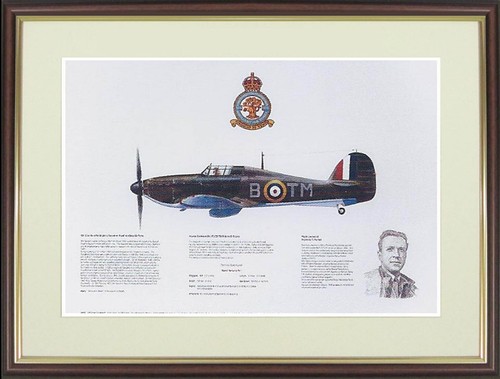 Hawker hurricane picture - hawker,