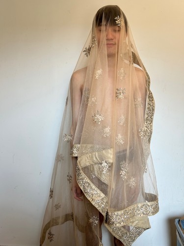 Champagne crystal embroidered - champagne,