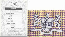 Panini - Cricket 95 - Stickers