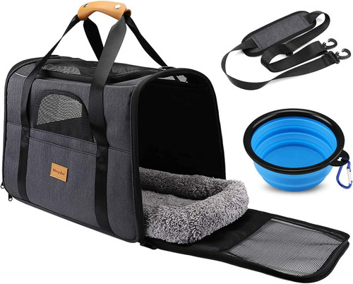 Cat carrier airline - cat,