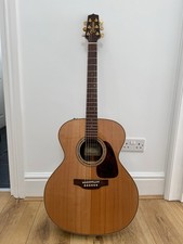 Takamine P5J