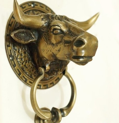 Heavy bull horns front - bull,