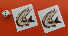 Pair of Superb Quality small Pike Stickers 50mm fishing tackle boxes/cars/vans