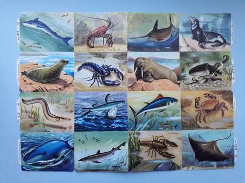 Vintage scraps sea creatures - scraps,