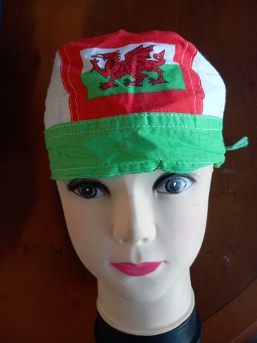 Welsh dragon biker - welsh, stag