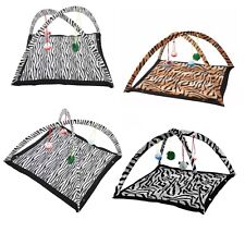 Zebra OR Tiger Pattern Cat