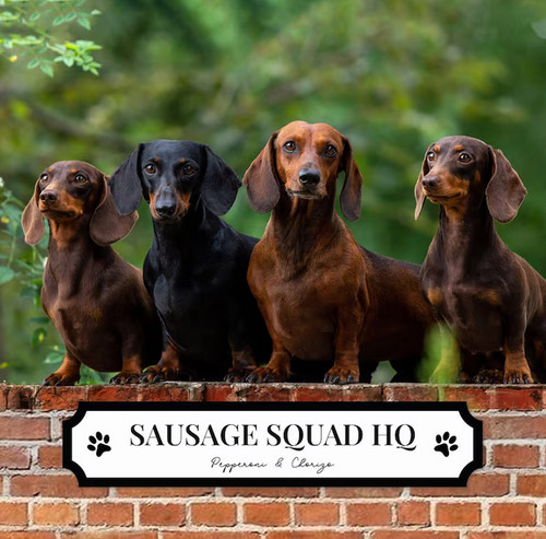 Personalised pet street sign - personalised,