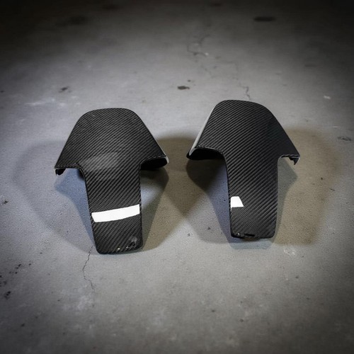 Carbon fibre seat back - carbon,