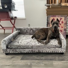 Stylish XL Dog Lounge Sofa
