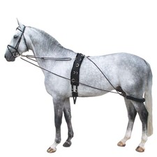 Horse lunge training system - lunge,