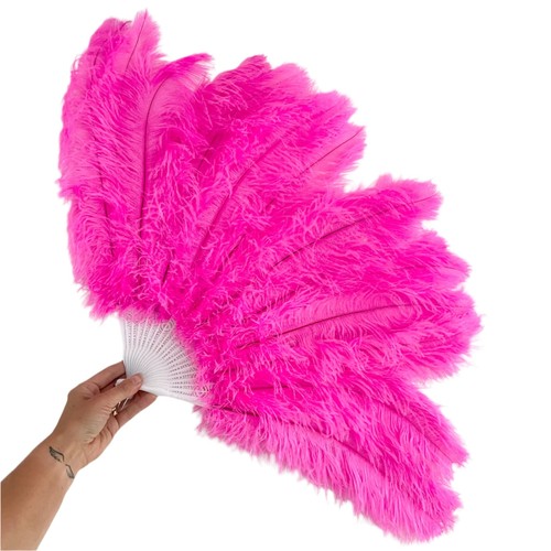 Costume dance ostrich - costume,