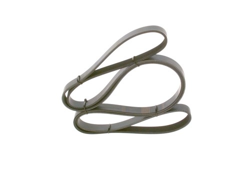 Bosch ribbed belt for - belt,