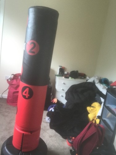 Everlast punch bag - everlast,