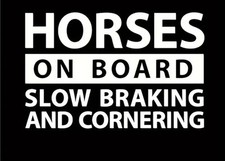Caution Horses On Board