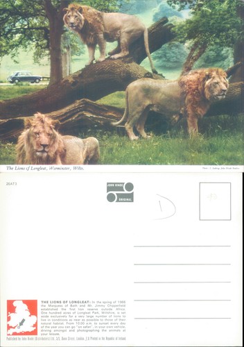 The lions longleat - the, of