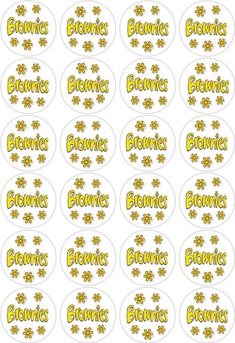 Brownies girl guides - 24,