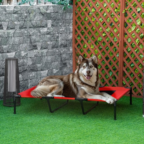 Cooling elevated dog bed - dog,