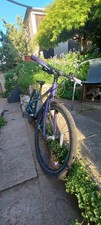 Wild 24-inch Kids Junior Bike