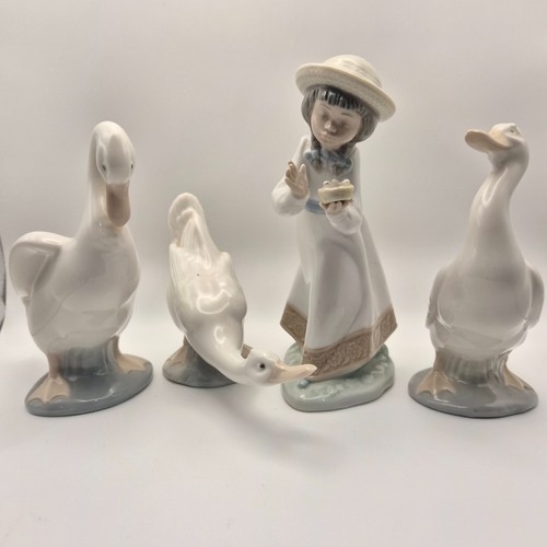 Collection nao lladro - of,