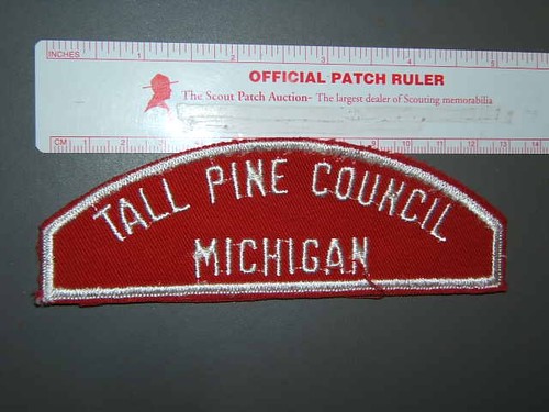 Boy scout rws - boy, pine