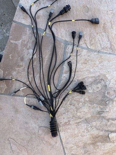 Motec adl2 c185 - motec, harness