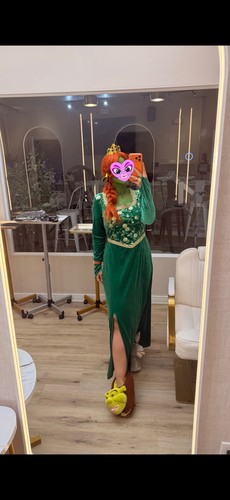 Princess fiona costume - costume, adult