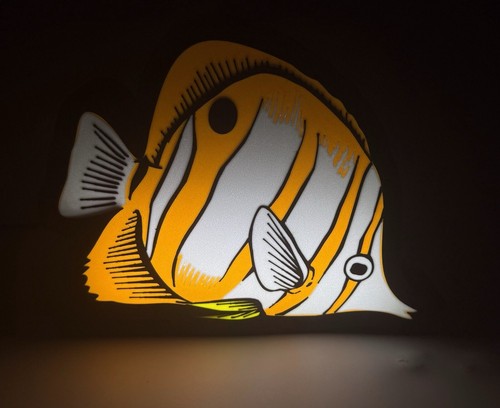 Copperband butterfly fish - butterfly,