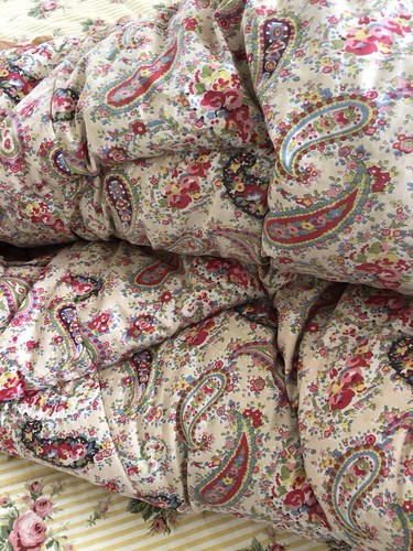 Vintage paisley and - vintage,