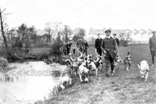 Azk social history otter - azk-37, history,