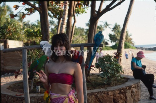 Tropical beauties pretty woman - pretty,