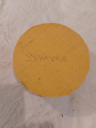 Sycamore bowl blank - bowl,