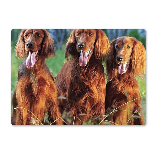 Metal wall sign dogs - sign,
