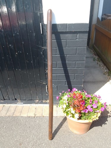 Beautiful chunky walking staff - beautiful,
