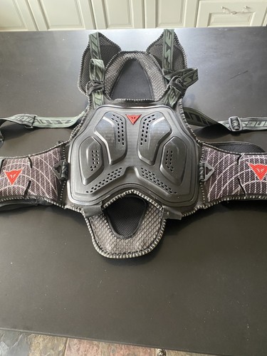 Dainese motor cycling back and - cycling,