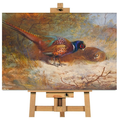 Archibald thorburn pheasant - thorburn,