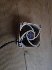 Noctua