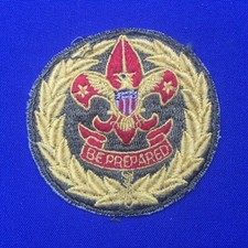 Boy Scout Assistant Field