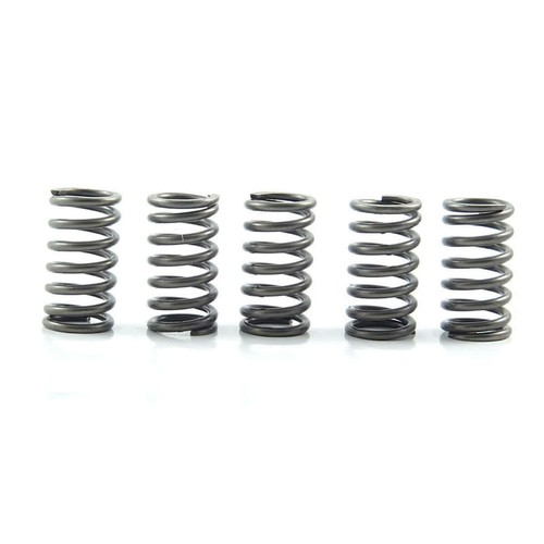 Ebc clutch springs rinf 10 - springs, +10