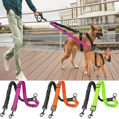 Double dog lead - dual, way