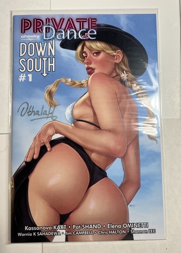 Private dance down south 1 - dance,