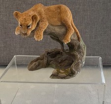 TEVIOTDALE, LION CUB IN TREE, Signed D. Edllmann