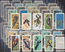 BROOKE BOND (TEA)-FULL SET-