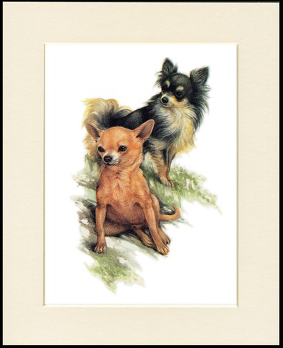 Chihuahua dog art print - chihuahua,