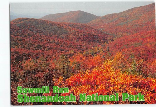 Postcard sawmill run overlook - postcard,