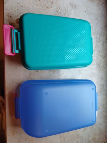 Tupperware lunch box - ,