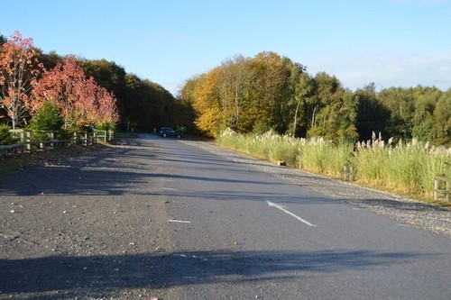 Photo 6x4 car - photo, bedgebury