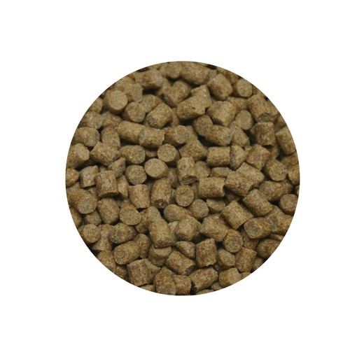 Skretting coarse fish - skretting,